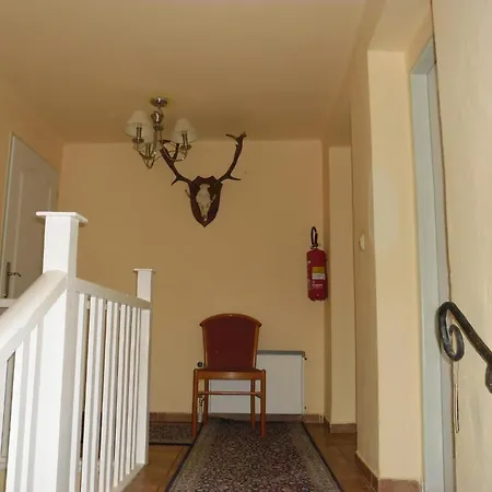 Guest house Meteor 3*