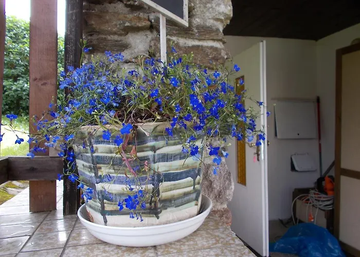 Meteor Марианске-Лазне