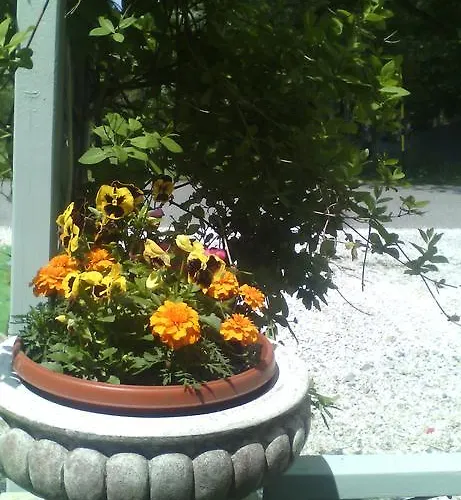 Meteor Марианске-Лазне