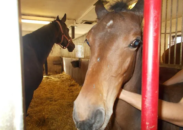 Meteor Гостевой дом 3*