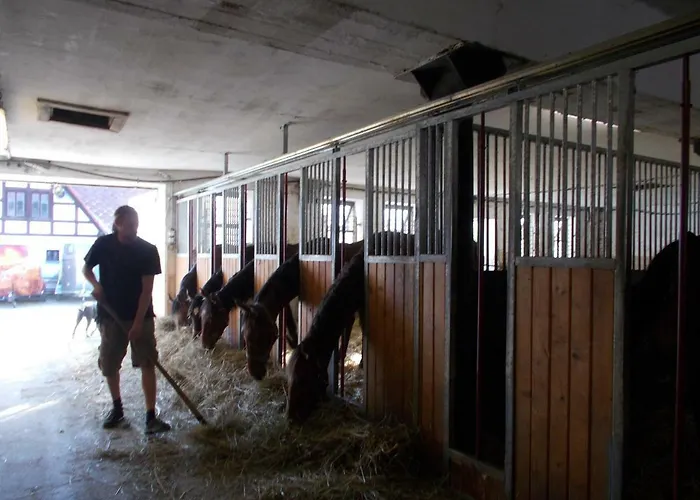 Meteor Марианске-Лазне