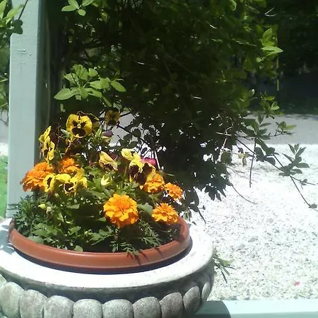 Meteor Marianske Lazne